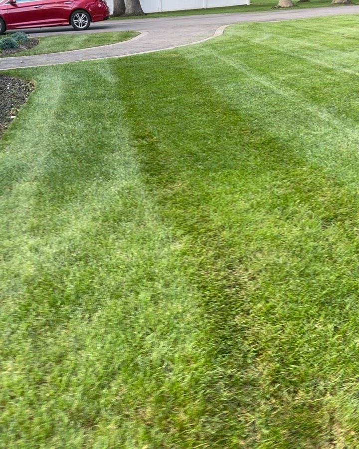 Lawn care & striping